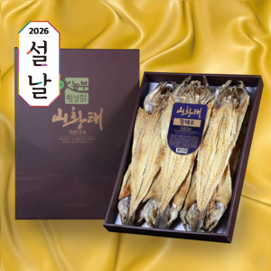 횡성맑,5만원대 구정 선물세트, 황태포 10미(42~44cm), 2026년 최신 제품